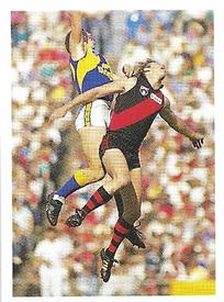1991 Select AFL Stickers #256 Paul Van Der Haar Front